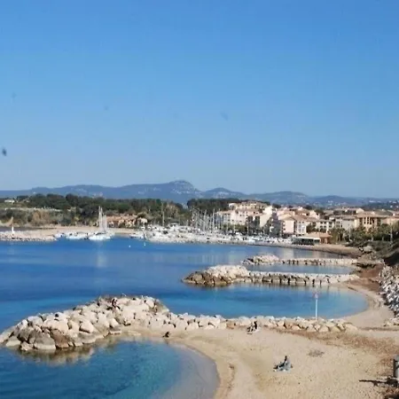 Mimosa Six-Fours-les-Plages