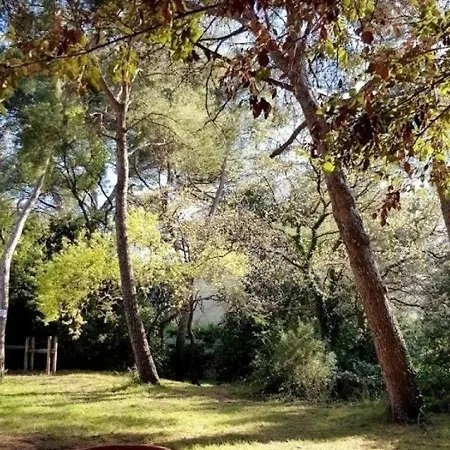 Mimosa Apartman