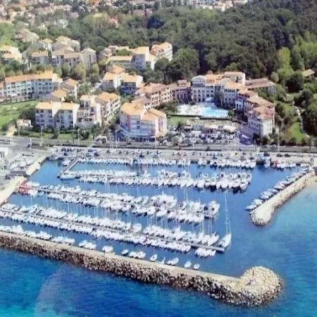 Mimosa Six-Fours-les-Plages